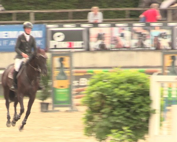 Reitturnier Melle-Ostenfelde 2016