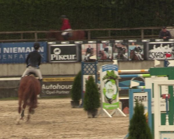 Reitturnier Melle-Ostenfelde 2016