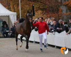 dressage horse Ecclestone (Bavarian, 2017, from Escolar)