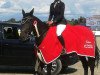 jumper Frieda 258 (Oldenburg show jumper, 2012, from Favorit Ask)