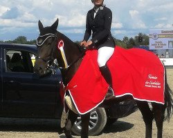 jumper Frieda 258 (Oldenburg show jumper, 2012, from Favorit Ask)