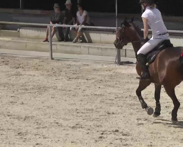 Reitturnier Ingolstadt-Hagau 2016