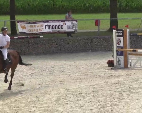 Reitturnier Ingolstadt-Hagau 2016