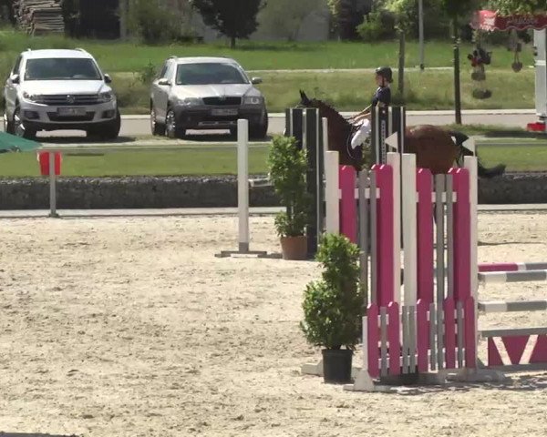 Reitturnier Ingolstadt-Hagau 2016