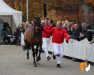 dressage horse Deflorino (Westphalian, 2017, from Don Juan de Hus)