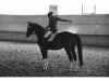 dressage horse Lou 23 (Holsteiner, 1998, from Leandro)