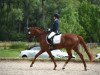 dressage horse Betty Bou 3 (Oldenburg, 2015, from Bernay)