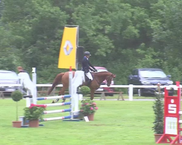 Reitturnier Marne 2016