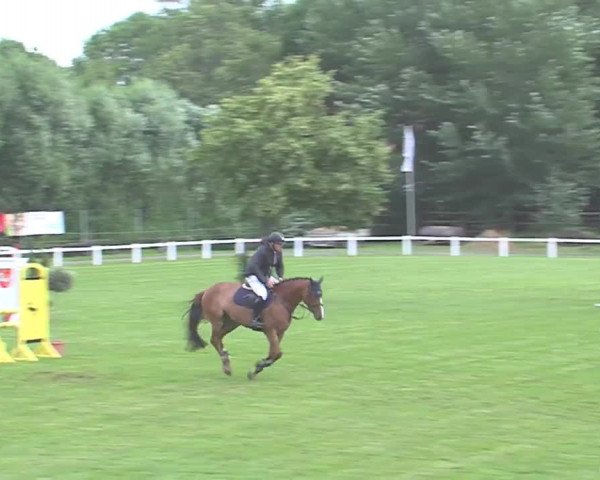 Reitturnier Marne 2016