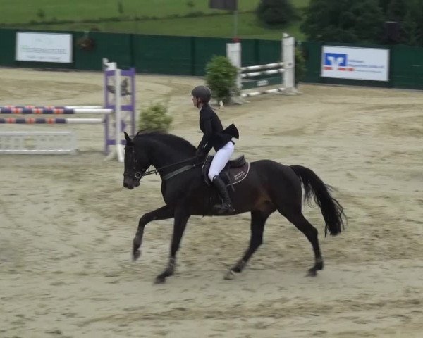 Reitturnier Lindlar-Süttenbach 2016