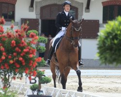 dressage horse Liola CH (Swiss Warmblood, 2005, from Lintasboy R)