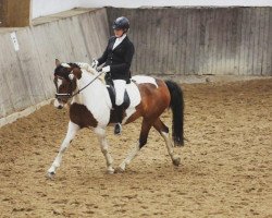 dressage horse Lucky Luke (Pony without race description, 2010)