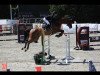 jumper Futura Light (Danish Warmblood, 2004)