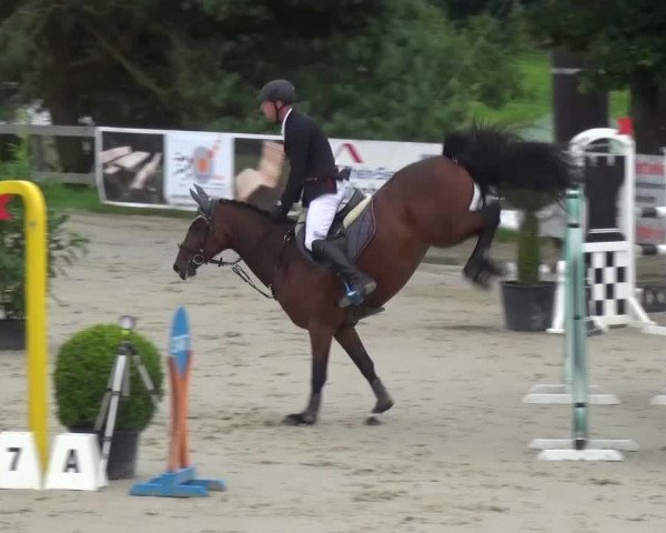 Reitturnier Kalenborn Hegehof 2016