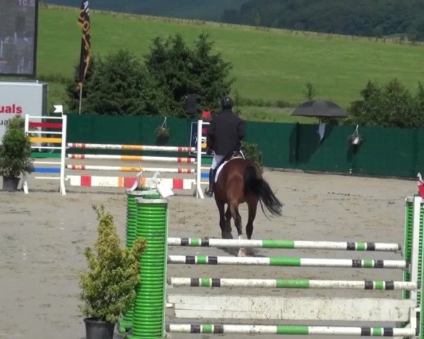 Reitturnier Lindlar-Süttenbach 2016