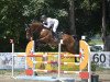 jumper Flipper Lady 3 (German Sport Horse, 2014, from Flipper d'Elle)