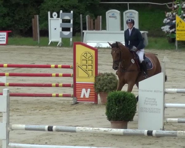 Reitturnier Viersen-Dülken 2016