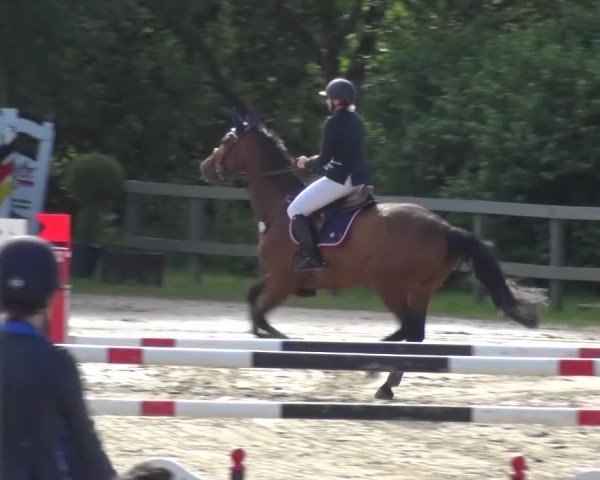 Reitturnier Kalenborn Hegehof 2016