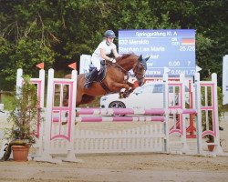 jumper Meraldo (German Riding Pony, 2008, from Mozart II)