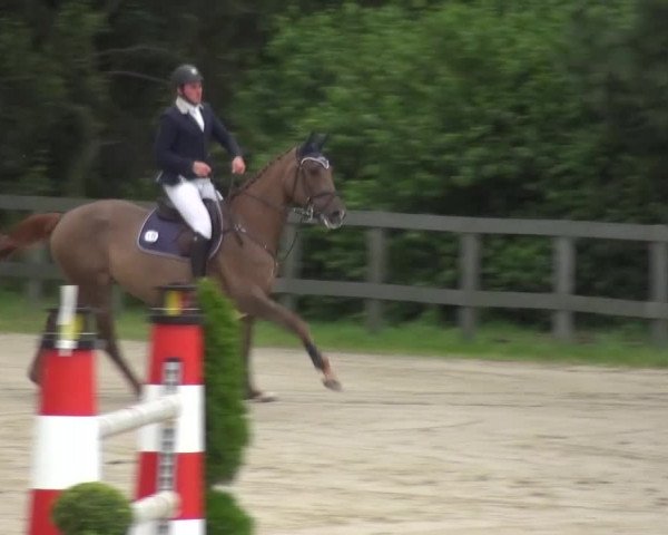 Reitturnier Kalenborn Hegehof 2016