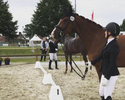 dressage horse Franz Ferdinand 31 (Westphalian, 2015, from Franziskus FRH)