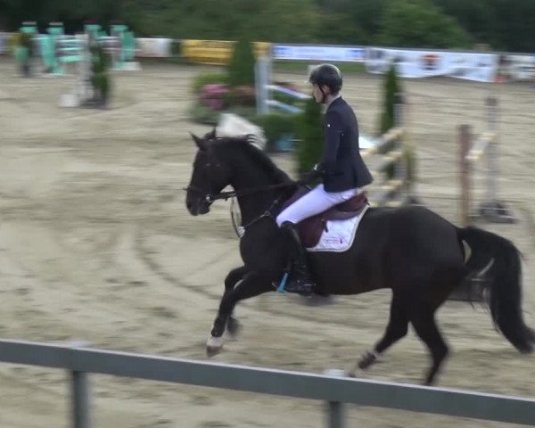 Reitturnier Kalenborn Hegehof 2016