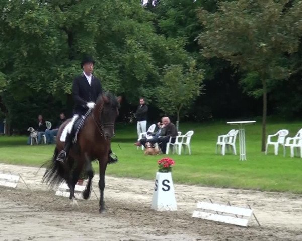Reitturnier Viersen-Dülken 2016