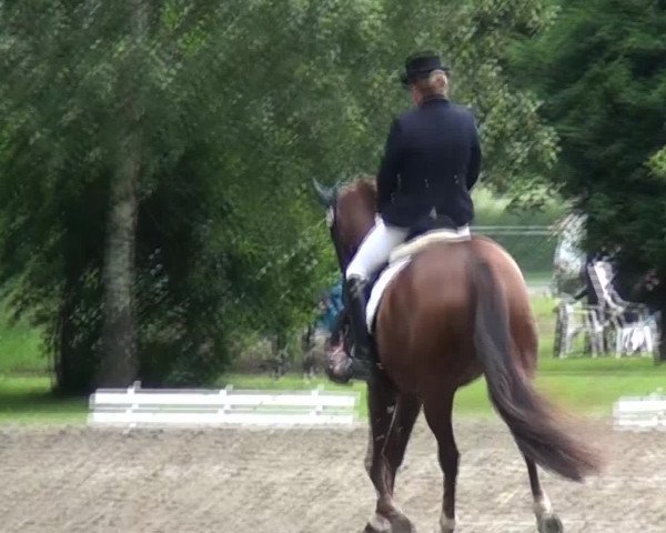 Reitturnier Viersen-Dülken 2016