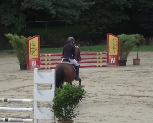 Reitturnier Viersen-Dülken 2016
