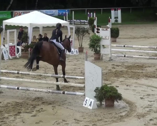 Reitturnier Viersen-Dülken 2016