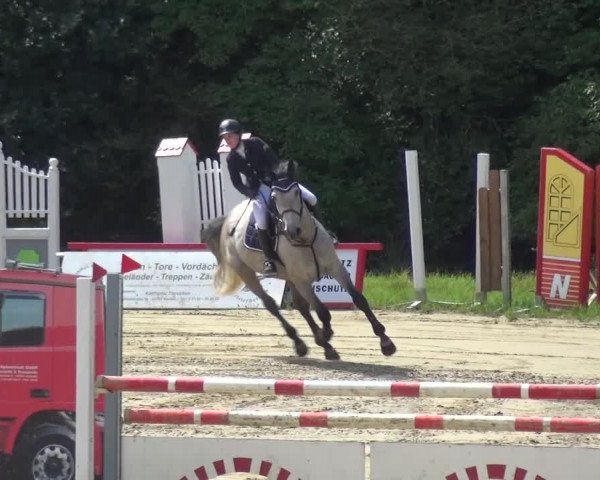 Reitturnier Viersen-Dülken 2016
