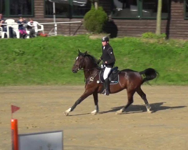 Reitturnier Viersen-Dülken 2016