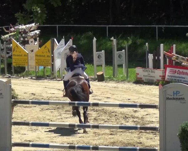 Reitturnier Viersen-Dülken 2016
