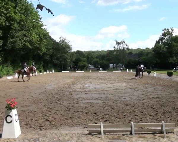 Reitturnier Viersen-Dülken 2016