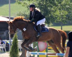 jumper Glenn W 2 (Oldenburg show jumper, 2006, from Gaspari I)