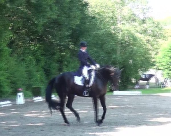 Reitturnier Viersen-Dülken 2016