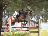 jumper Flierefluiter (KWPN (Royal Dutch Sporthorse), 2010, from VDL Wittinger)