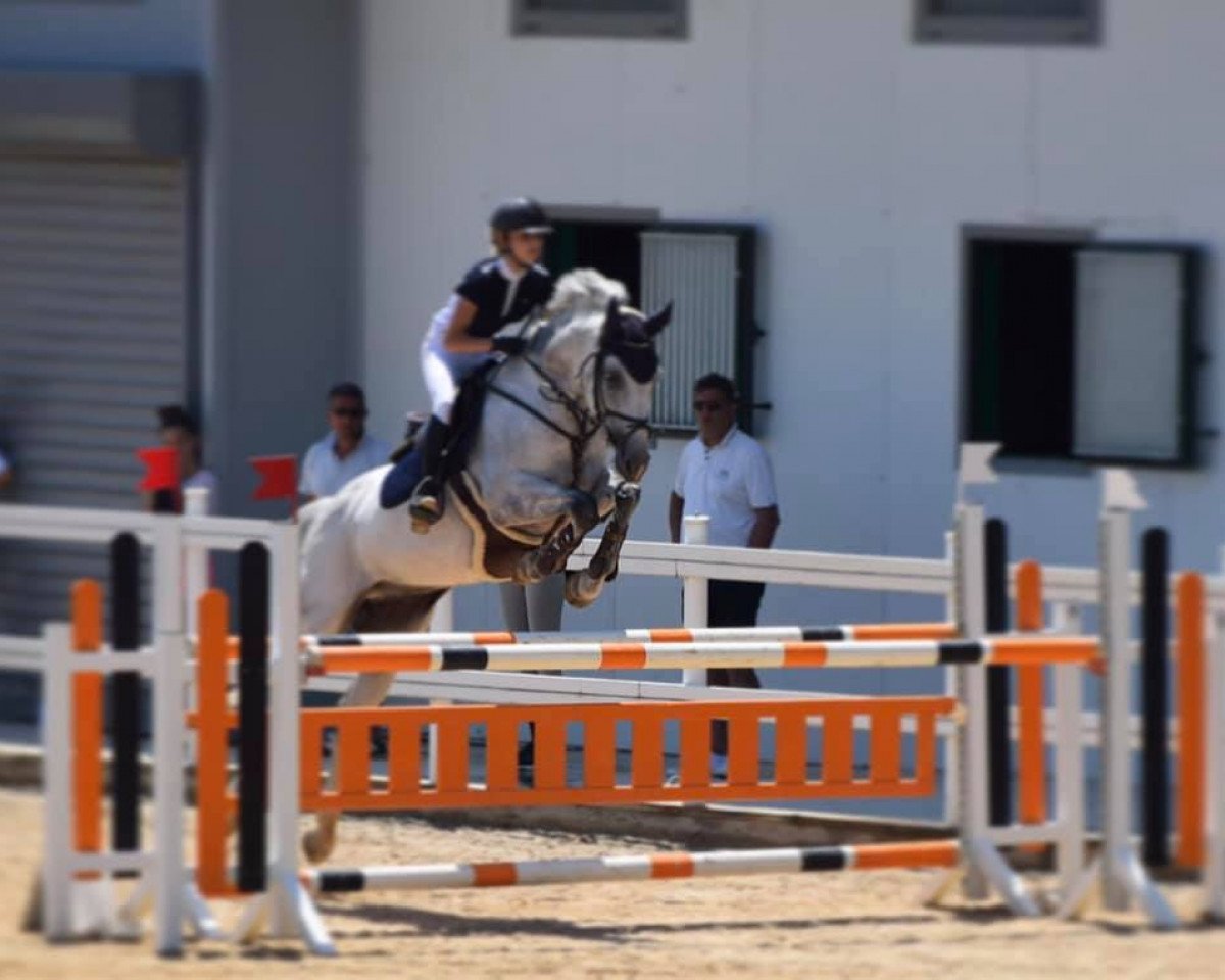 Springpferd Cabalero 12 (Oldenburger Springpferd, 2009, von Cassiano)