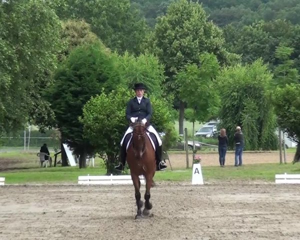 Reitturnier Viersen-Dülken 2016