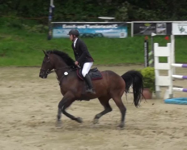 Reitturnier Viersen-Dülken 2016