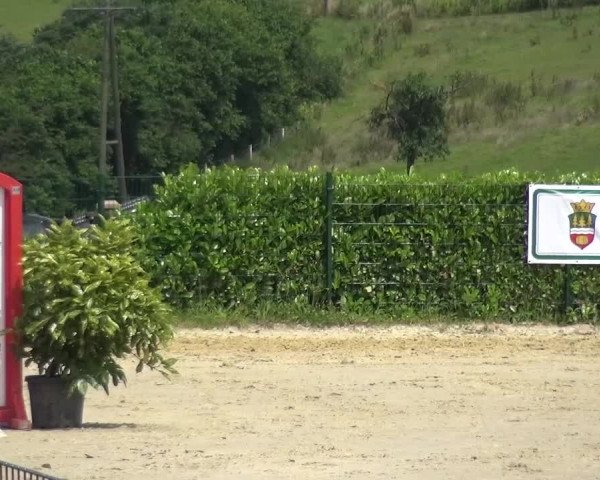 Reitturnier Lindlar-Süttenbach 2016