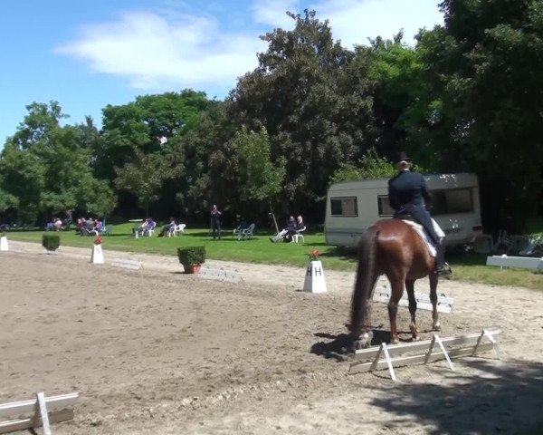 Reitturnier Viersen-Dülken 2016