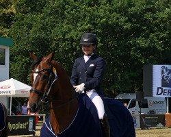 dressage horse Faro Herzlr"uber (Trakehner, 2010, from Herzensdieb)