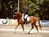 dressage horse Royal Flash 115 (Hanoverian, 2013, from Royal Blend)