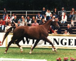 broodmare Parabiose (Brandenburg, 1984, from Sekurit 3391)