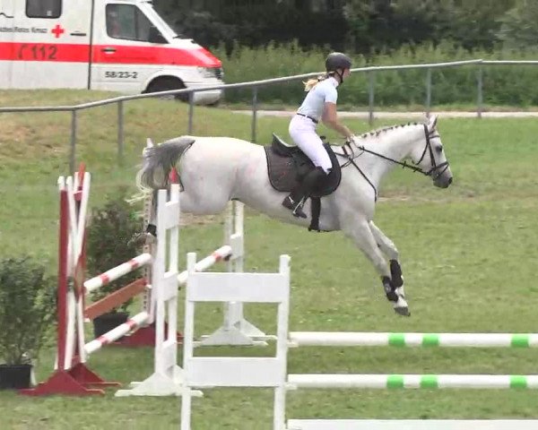 Reitturnier Herrenberg-Gültstein 2016