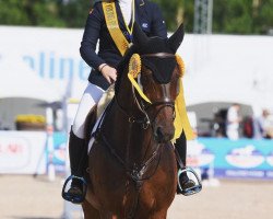 jumper Quincy (Swedish Warmblood, 2005, from Quintos)