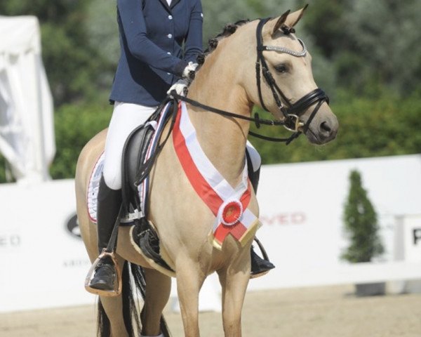 broodmare Daily Sunshine 26 (German Riding Pony, 2016, from Dating At NRW)