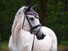 jumper Samira 366 (German Warmblood, 2005, from Saccor)