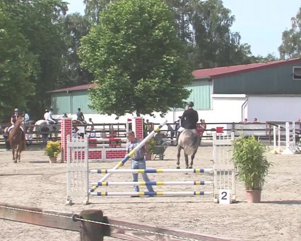 Reitturnier HH-Klein Offenseth/Hell-Stallion-Stud 2016